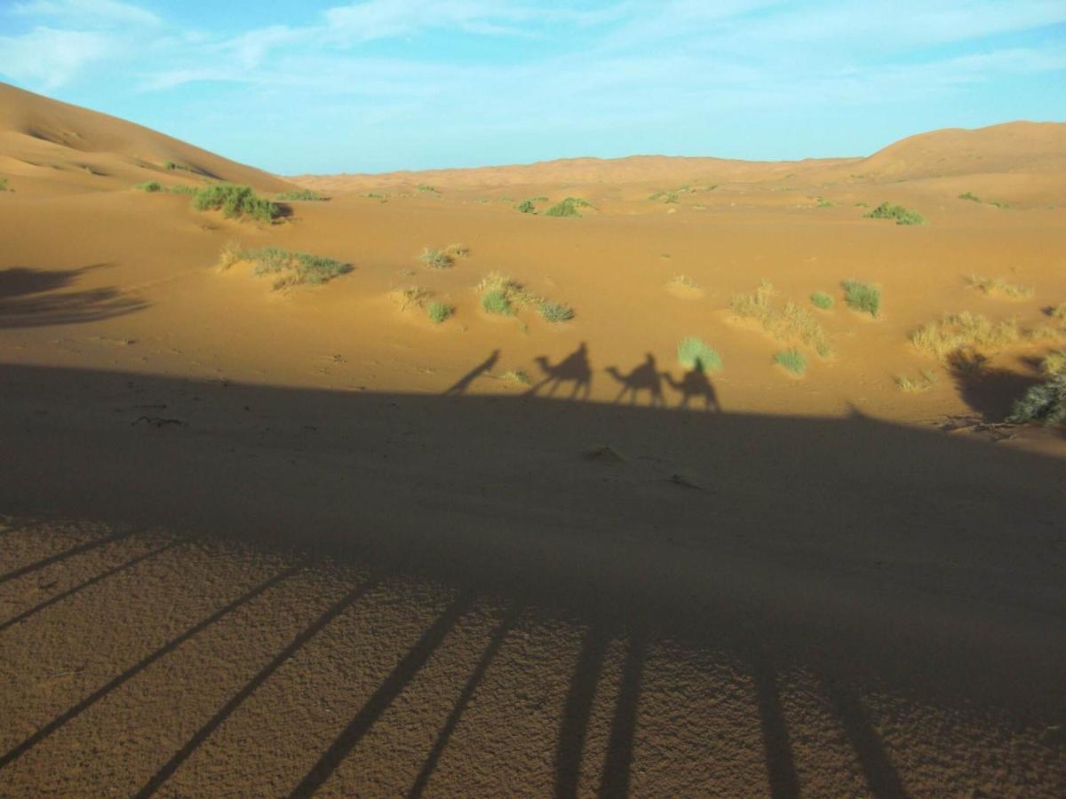 Desert Camel Trekking Camp メルズーガ エクステリア 写真