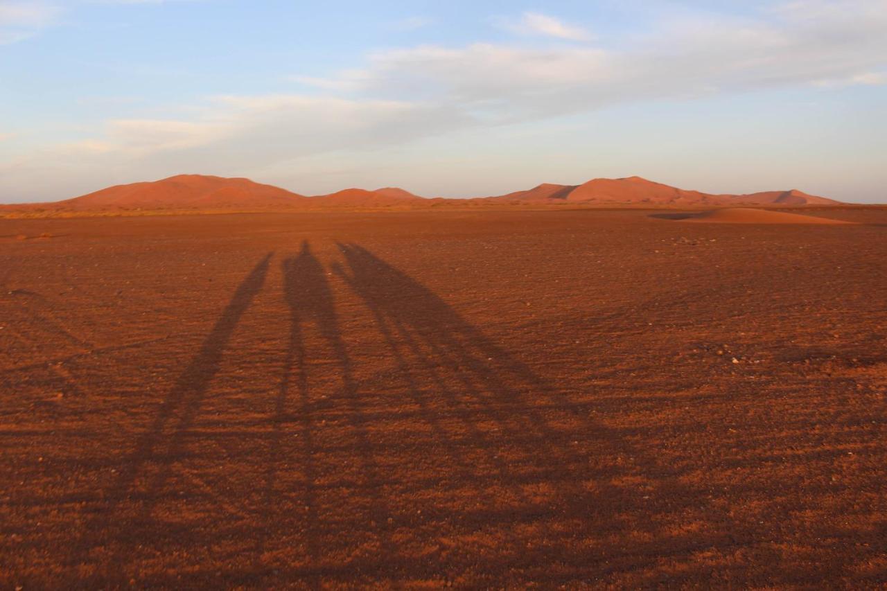 Desert Camel Trekking Camp メルズーガ エクステリア 写真