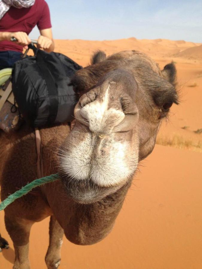 Desert Camel Trekking Camp メルズーガ エクステリア 写真