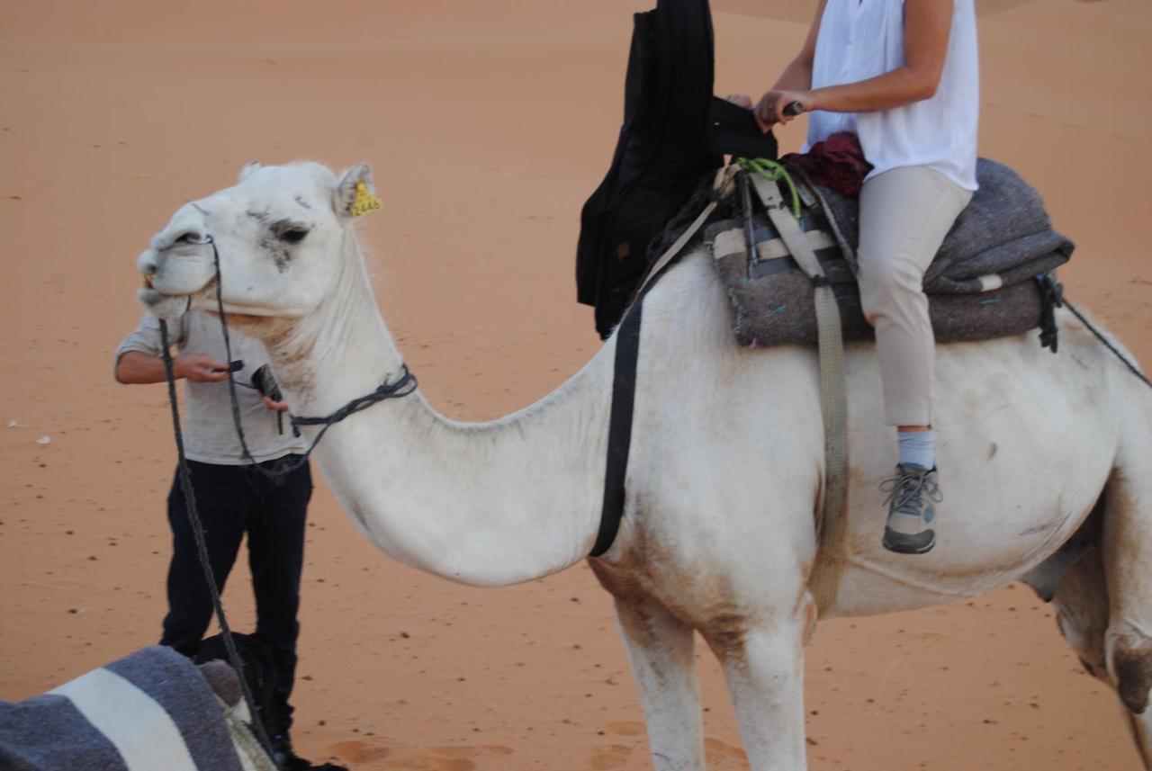 Desert Camel Trekking Camp メルズーガ エクステリア 写真