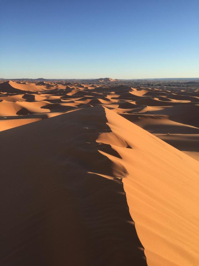 Desert Camel Trekking Camp メルズーガ エクステリア 写真